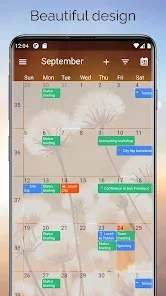 One Calendar preview 2